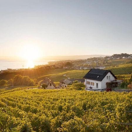فندق #Lavaux لتري المظهر الخارجي الصورة
