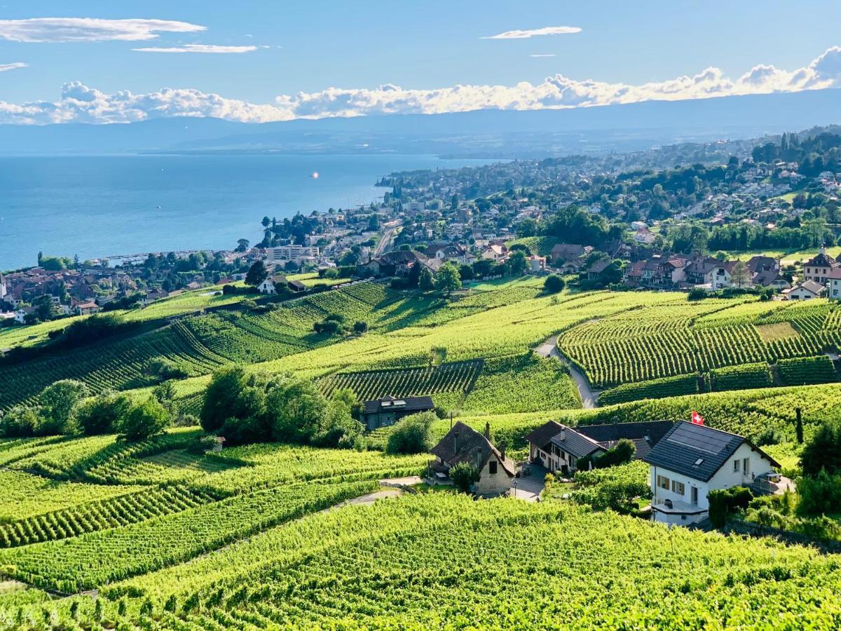 فندق #Lavaux لتري المظهر الخارجي الصورة