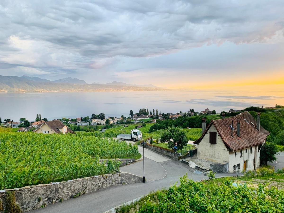 فندق #Lavaux لتري المظهر الخارجي الصورة