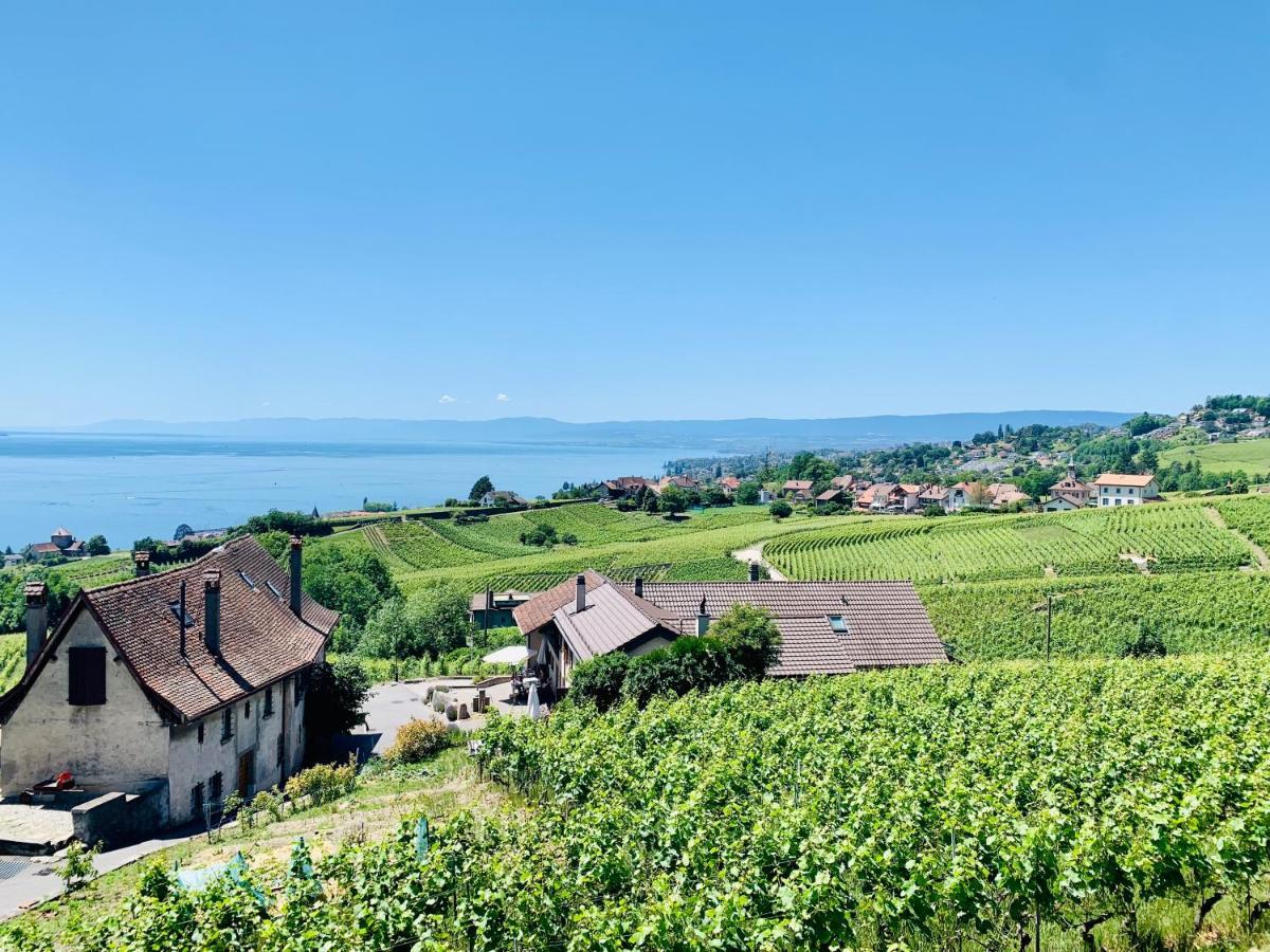 فندق #Lavaux لتري المظهر الخارجي الصورة